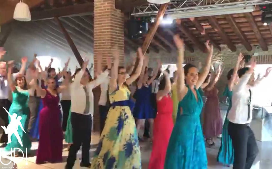 Un flashmob divertidisimo en la boda de Júlia y Dani